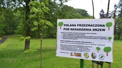 Napis Polana pod nasadzenia drzew.