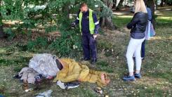 Strażnik miejski podczas interwencji w Parku Norweskim.