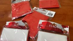 Biało-czerwone na Święto Niepodległości 