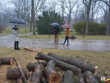 Połamane drzewa w Parku Zdrojowym.